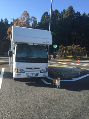 キャンピングカーとわんこ