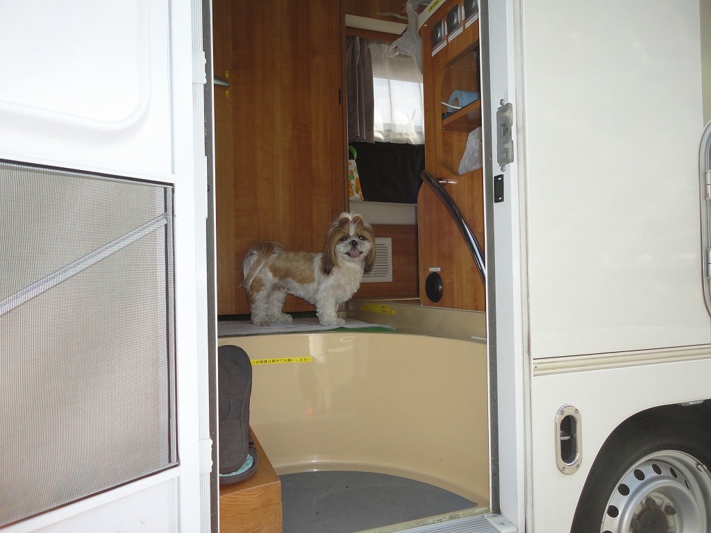 08神話の里白うさぎ2