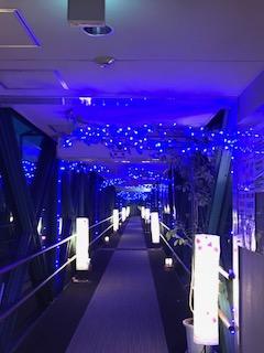 あしぎぬ温泉 空中回廊