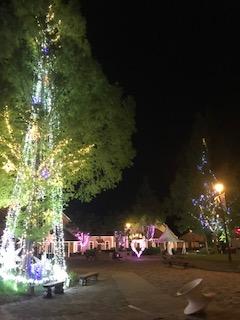 道の駅 丹波王国 ライトアップ