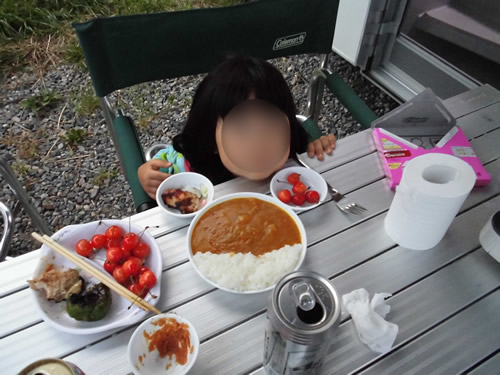 ダムカレーもどき