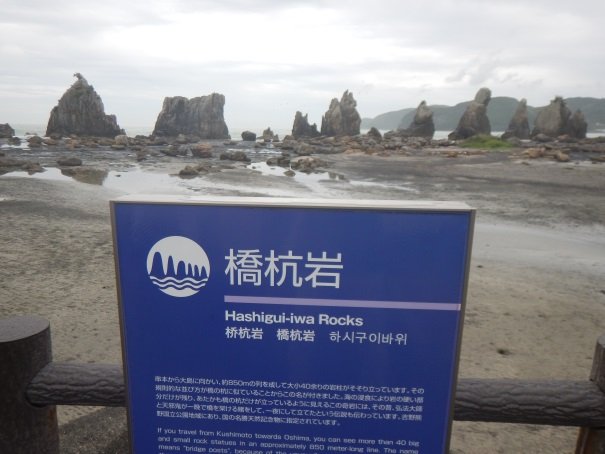 ドーナツと愛犬