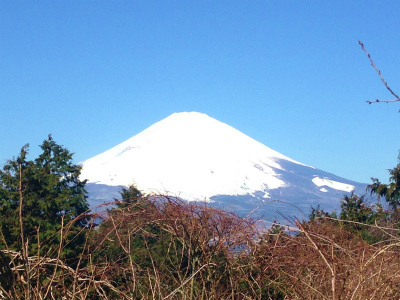 画像の説明